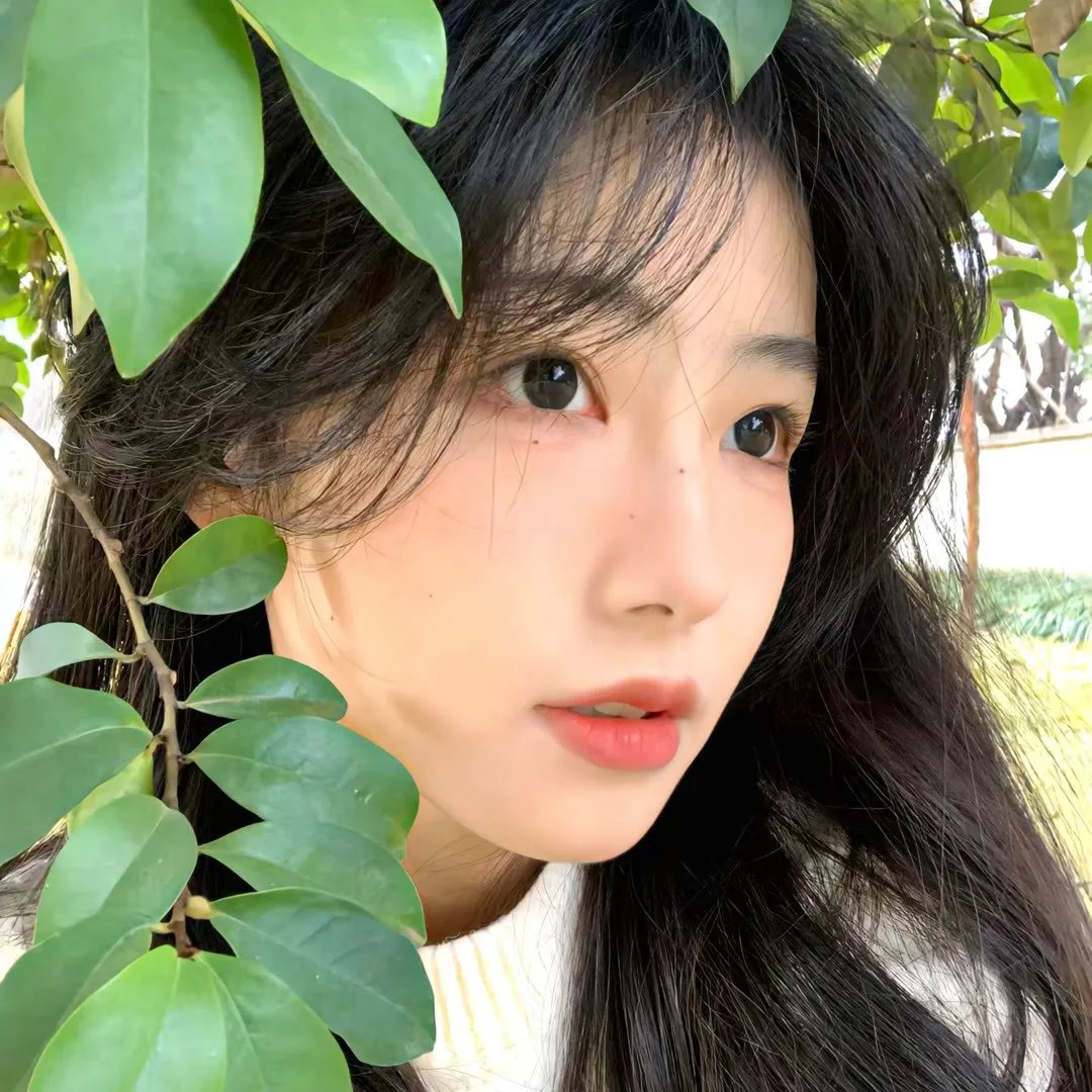 我的朋友们